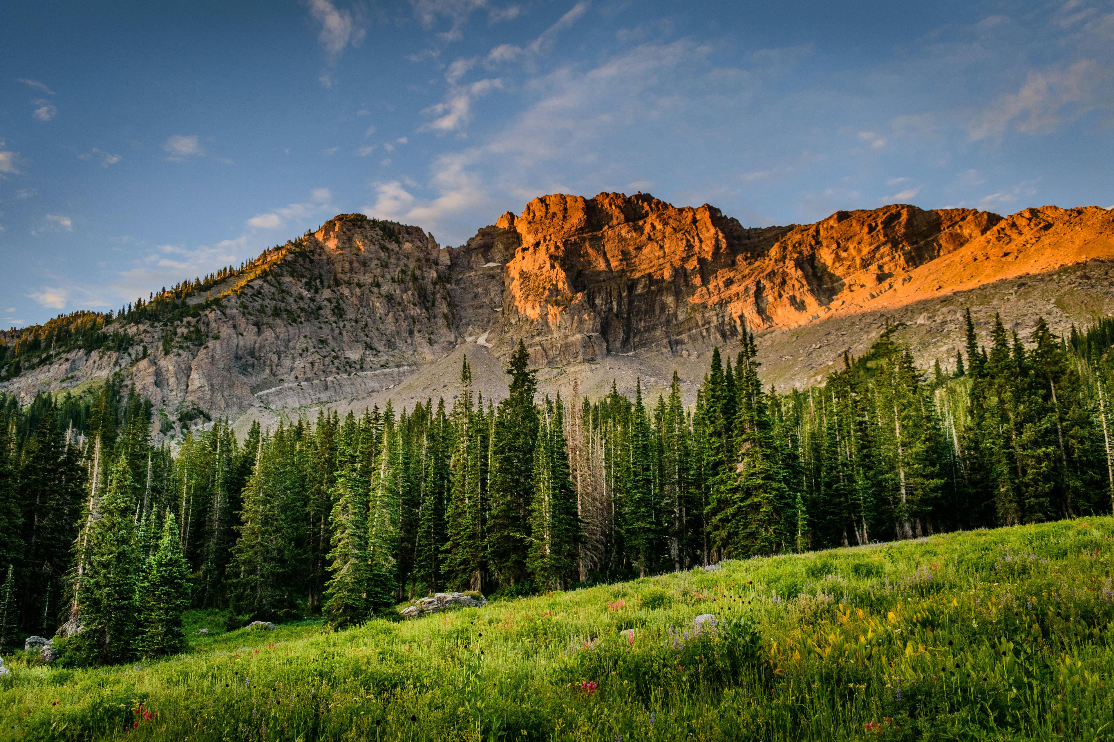 Mountain background